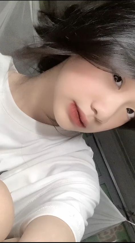 神澜奇域无双珠免费观看